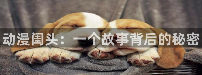 www.omofun.com：动漫闺头：一个故事背后的秘密