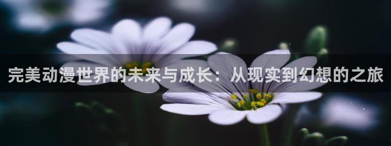 omofun动漫网站：完美动漫世界的未来与成长：从现实到幻想的之旅