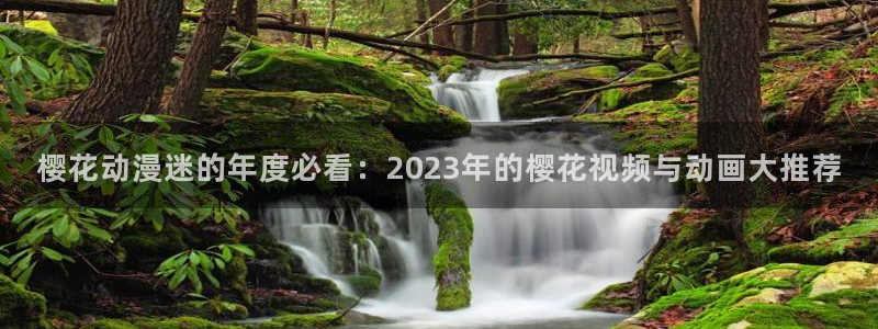 omofun专注动漫官网入口：樱花动漫迷的年度必看：2023年的樱花视频与动画大推荐