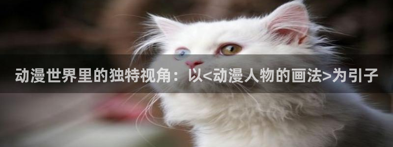 动漫共和国(omofun)：动漫世界里的独特视角：以<动漫人物的画法>为引子