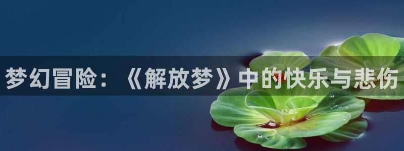omofun的官网：梦幻冒险：《解放梦》中的快乐与悲伤