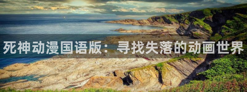 动漫共和国omofun下载：死神动漫国语版：寻找失落的动画世界