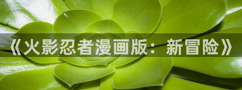 omofun下载无广告版：《火影忍者漫画版：新冒险》