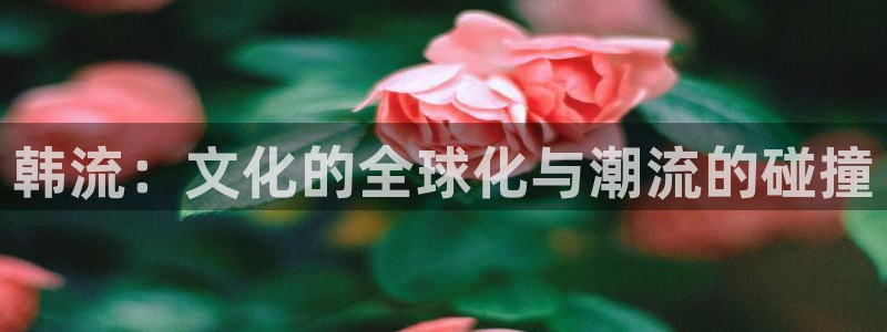 下载omofun动漫：韩流：文化的全球化与潮流的碰撞