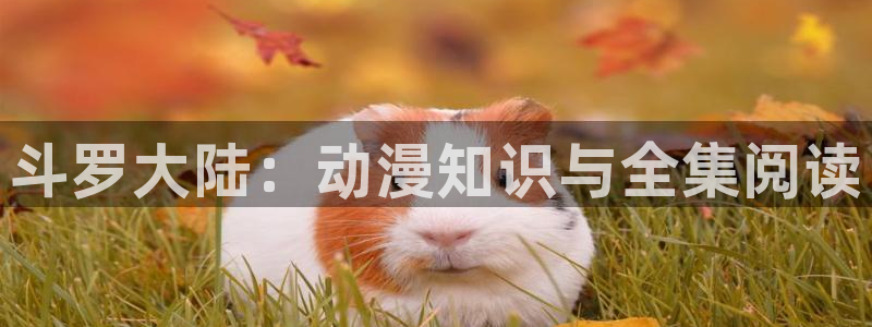 omofun下载官网入口：斗罗大陆：动漫知识与全集阅读