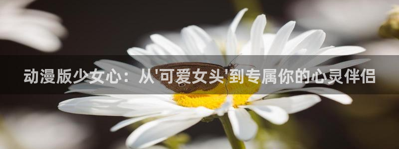 omofun宕卧