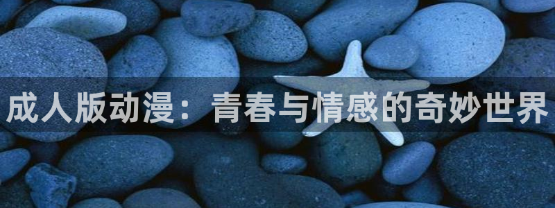 新omofun