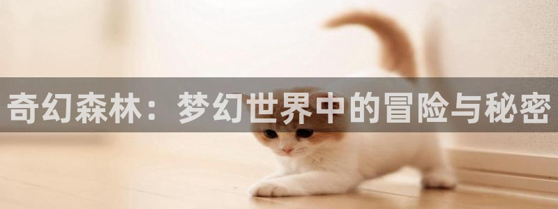 omofun专注动漫的网站