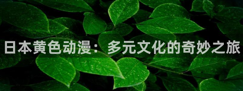 omofun动漫官方版下载：日本黄色动漫：多元文化的奇妙之旅