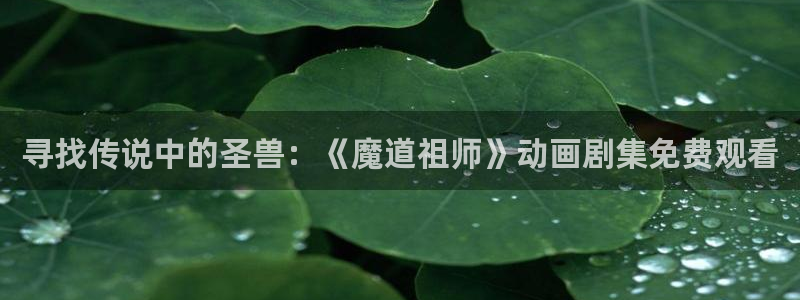 omofun官网网页版