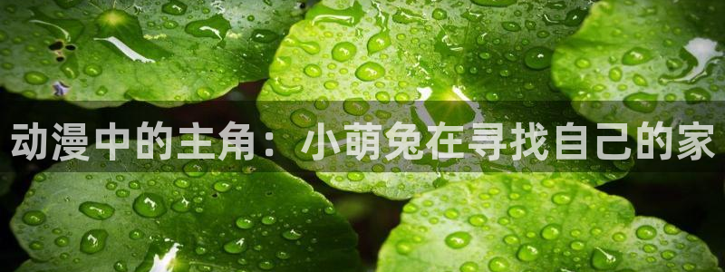 omofun动漫免费看官网入口在哪