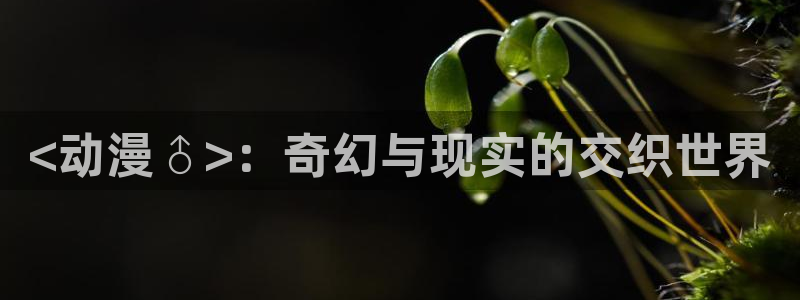 omofun官网网址