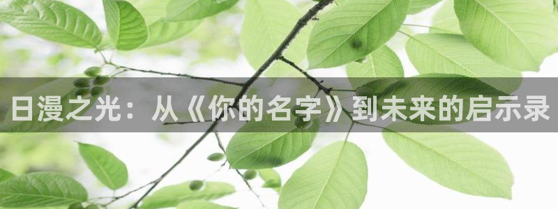 omofun官方网页