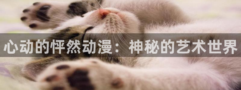 omofun网页