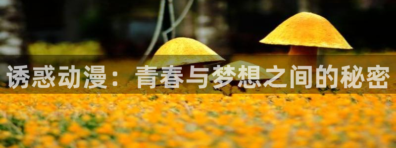 omofun官方网站入口