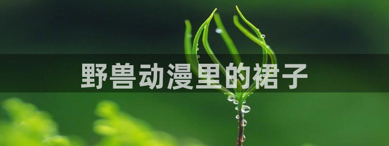 omofun官网入口下载最新版